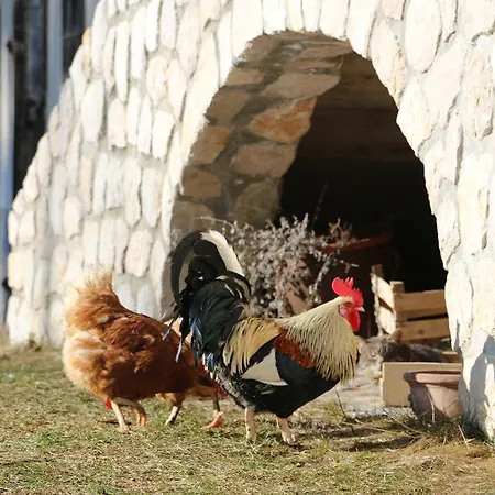 Agroturismo Makek Alpine Oasis Zgornje Jezersko