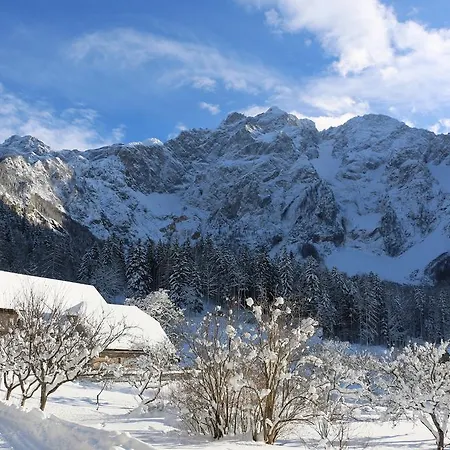 Agroturismo Makek Alpine Oasis