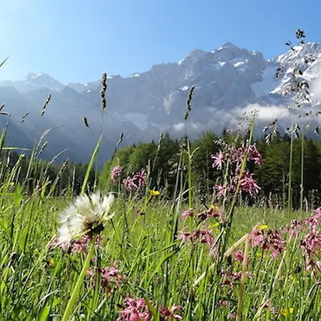 Makek Alpine Oasis *