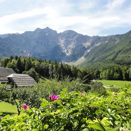 Makek Alpine Oasis Zgornje Jezersko